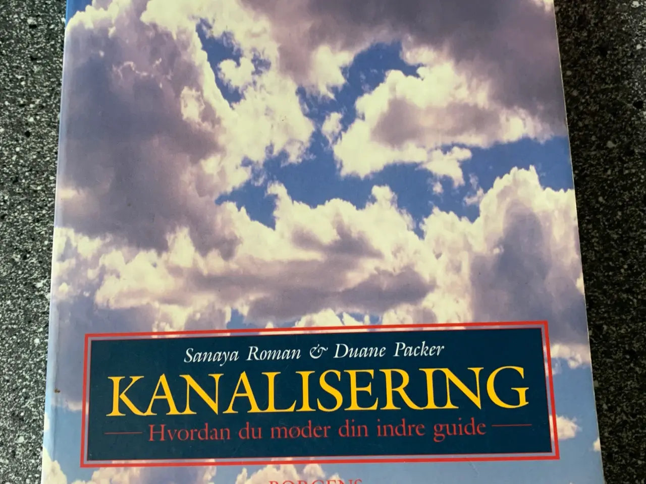 Billede 1 - Bog: Kanalisering