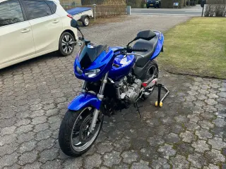 Honda CB600 Hornet - A2