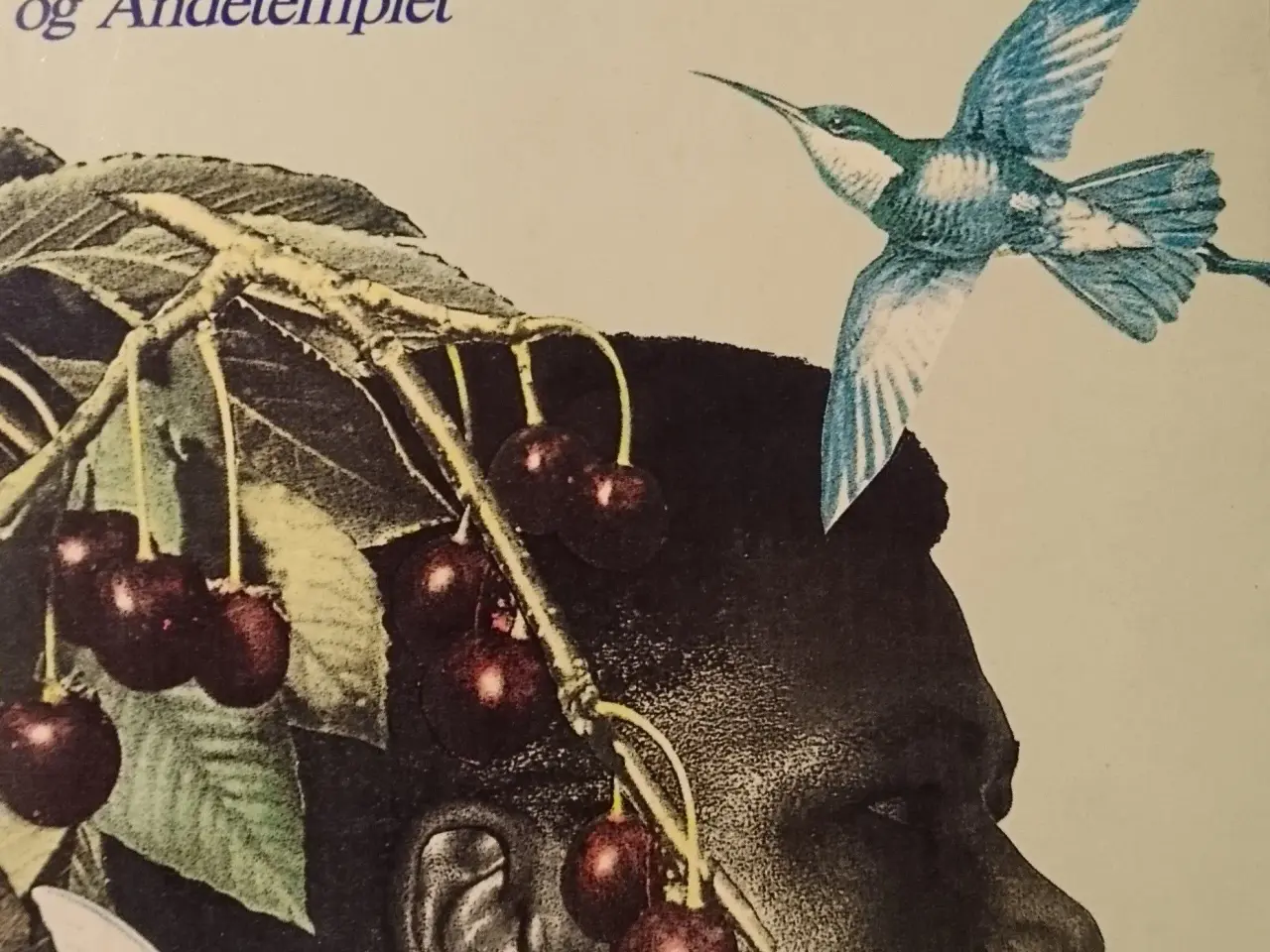 Billede 1 - Hans tredje liv Af Alice Walker