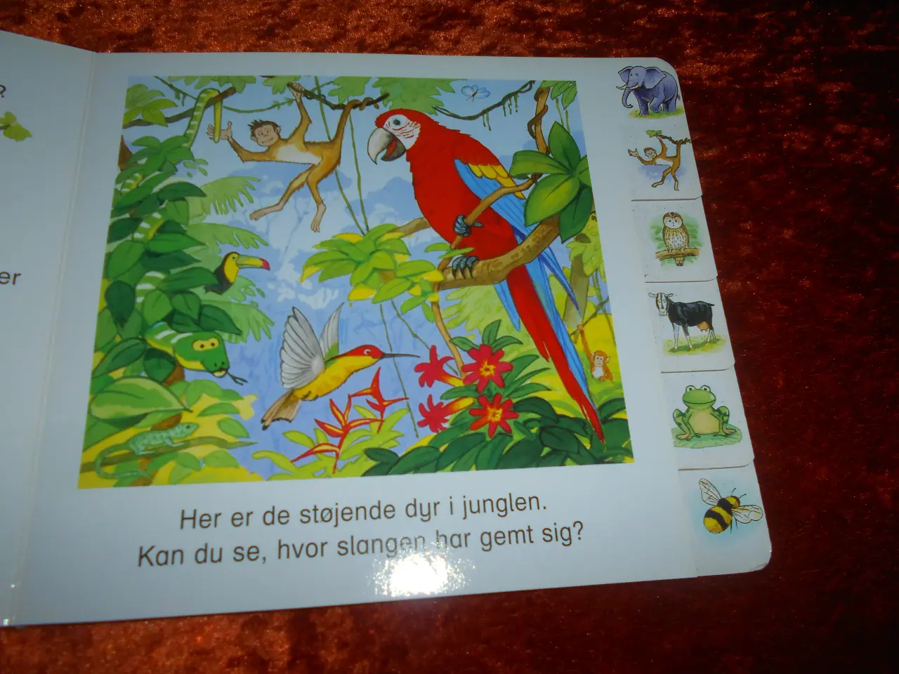 Billede 2 - Har du hørt en løve brøle, Jill Harker