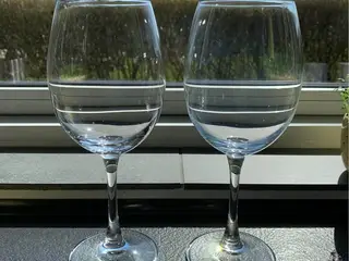 Spiegelau rødvinsglas