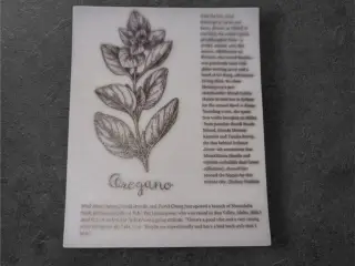 Botaniske papirark med elegant oregano-design Tilf