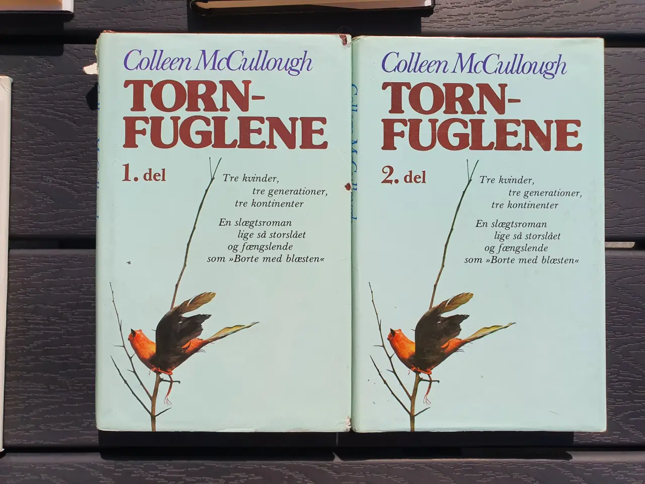 Billede 4 - Tornfuglene, Nord og Syd m.fl