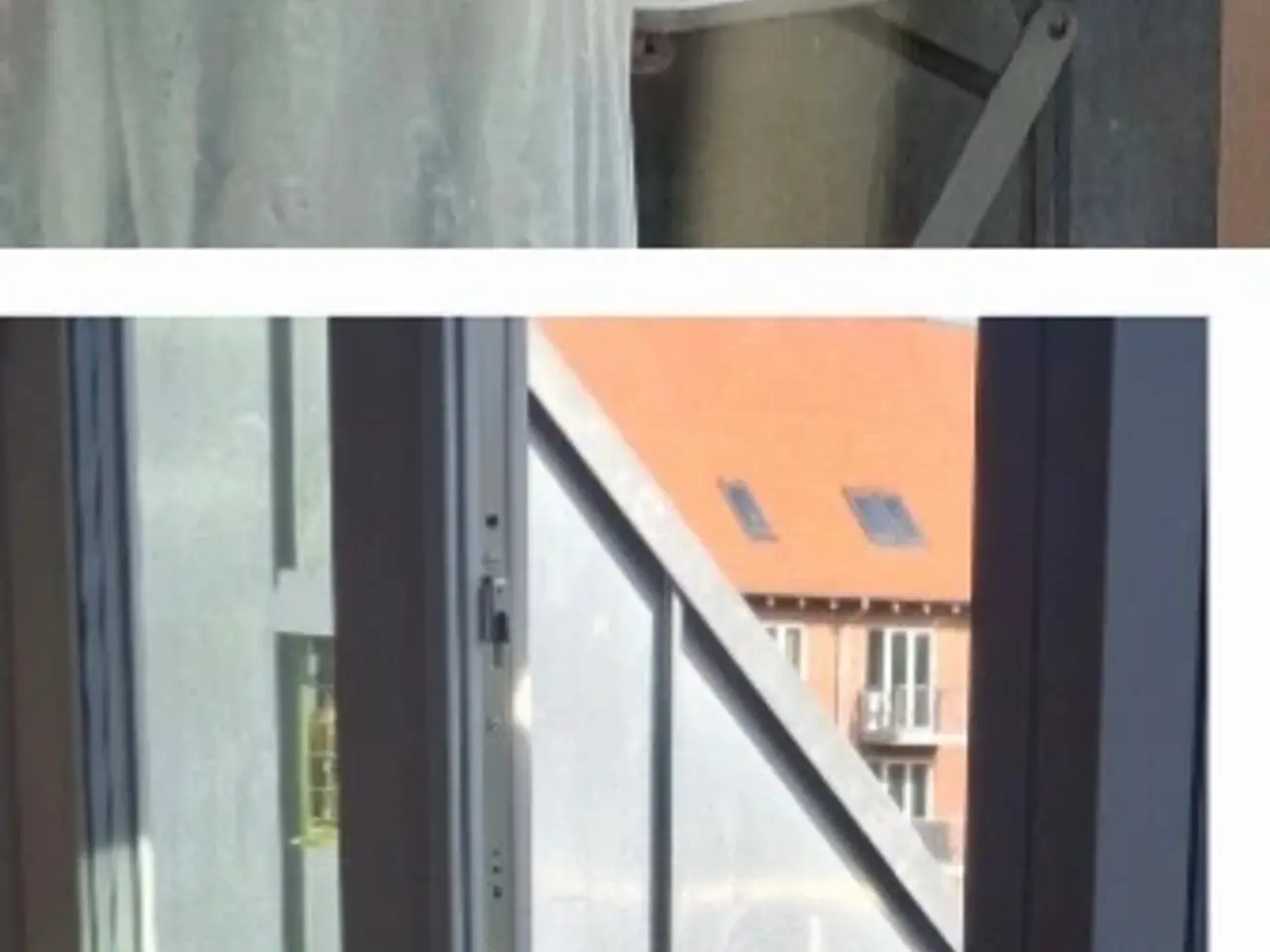 Billede 7 - Rigtig dejlig kat