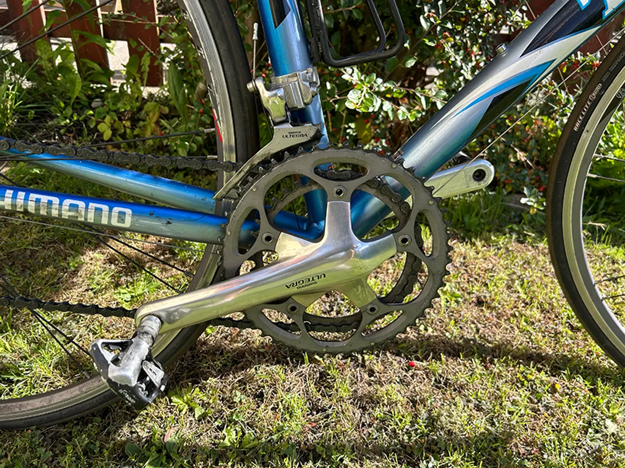 Billede 11 - Fin herre racer