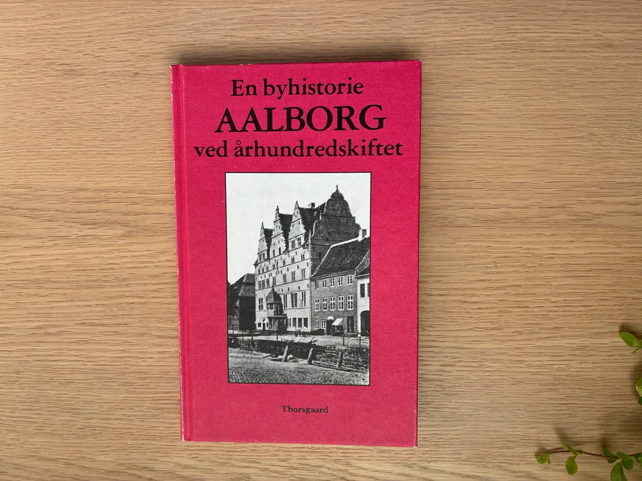 Billede 1 - En byhistorie - AALBORG ved århundredskiftet