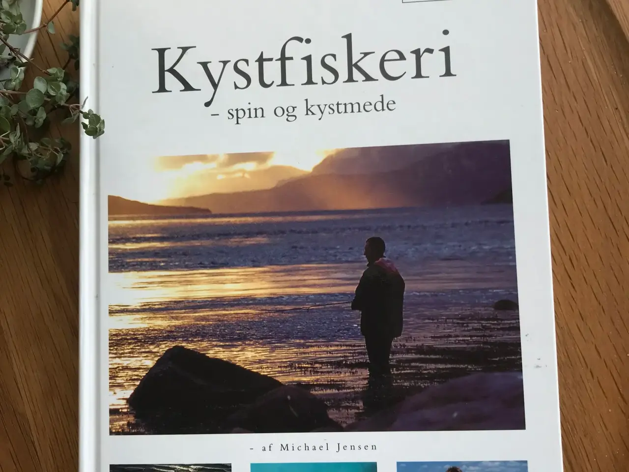 Billede 1 - Kystfiskeri - spin og kystmede af Michael Jensen