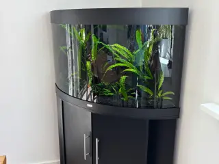 Juwel 190 liters hjørneakvarie