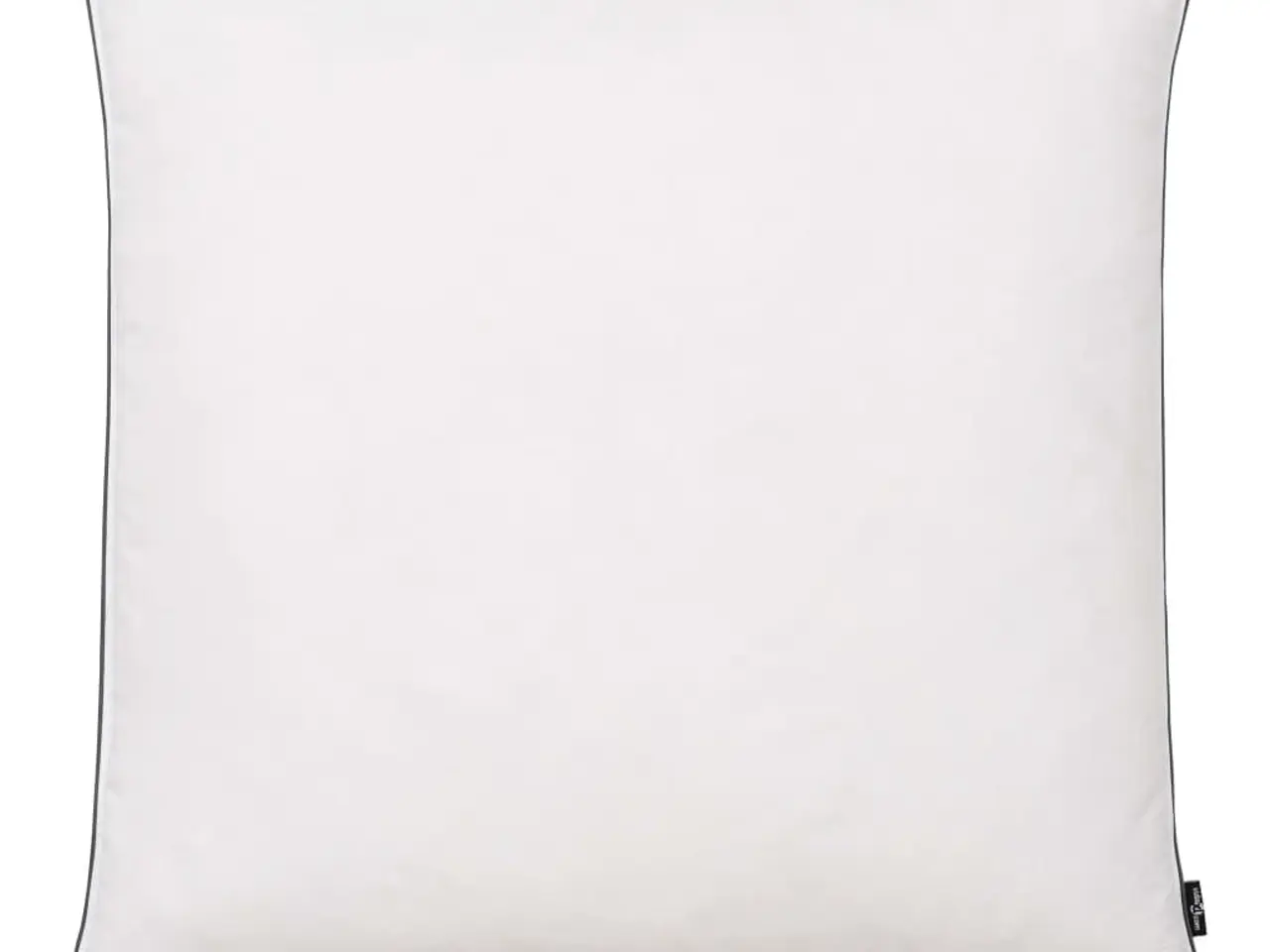 Billede 2 - Puder 2 stk. med dun-/fjerfyld - tung komfort 80 × 80 cm, hvid