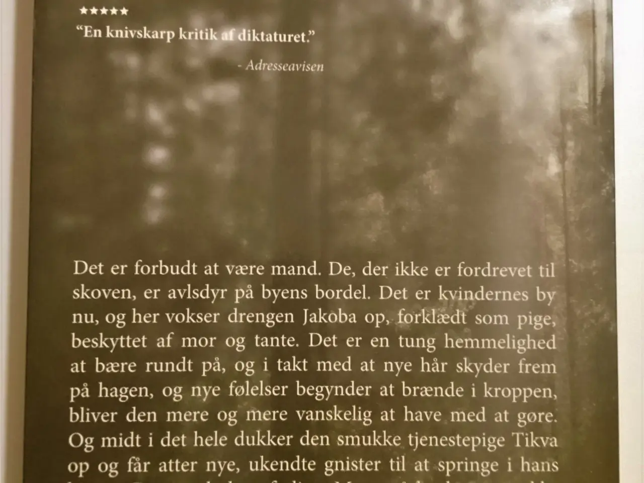 Billede 2 - Sangfuglen. Af Jan Roar Leikvoll