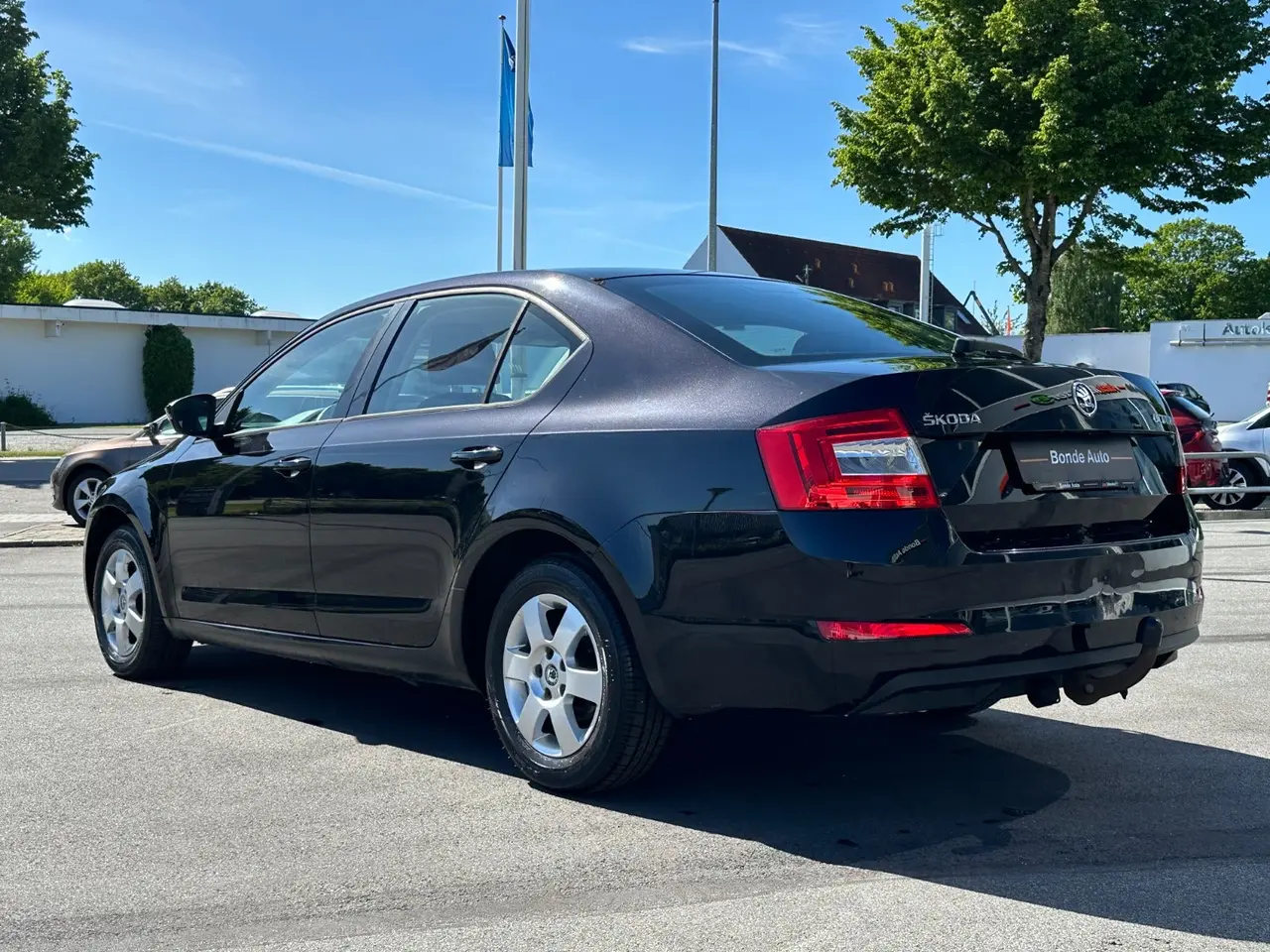 Billede 5 - Skoda Octavia 1,6 TDi 110 Ambition