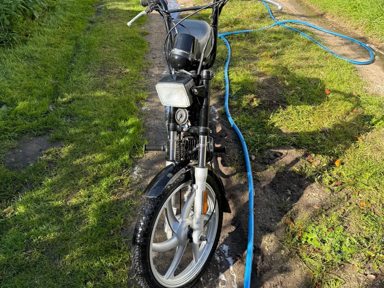 Billede 1 - Tomos standart. Dansk