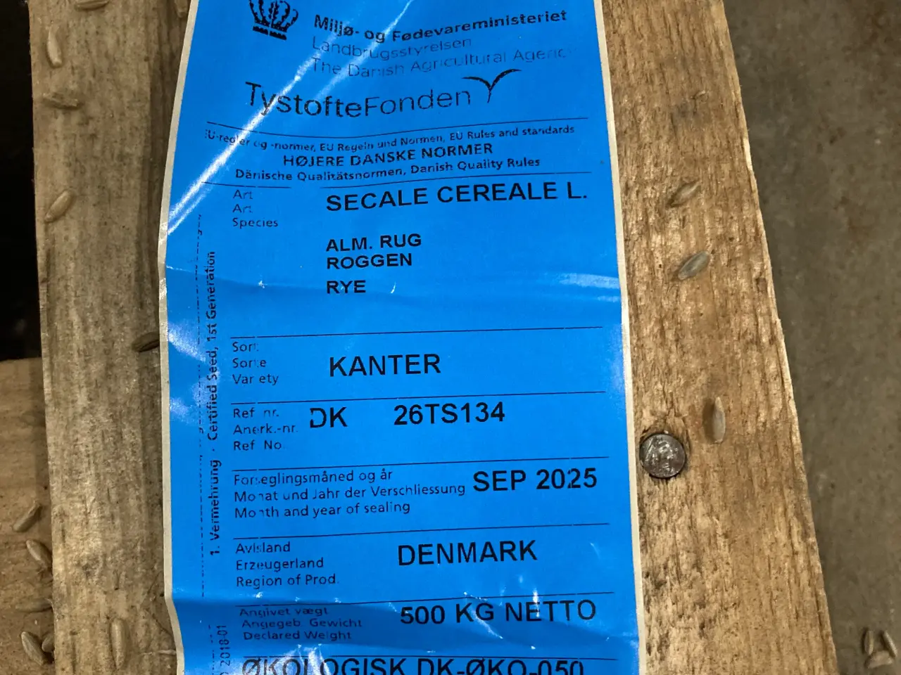 Billede 2 - Øko Vinter rug såsæd