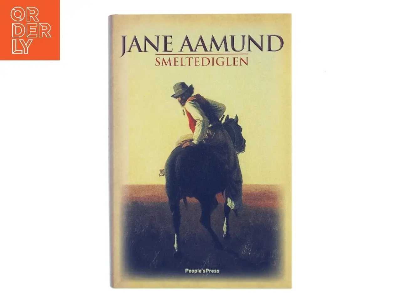Billede 1 - Smeltediglen : andet bind i slægtskrøniken om de dansk-argentinske indvandrere : roman af Jane Aamund (Bog)