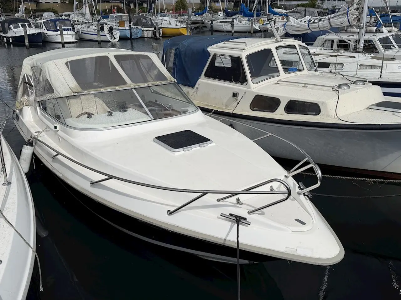 Billede 4 - Laguna 7500