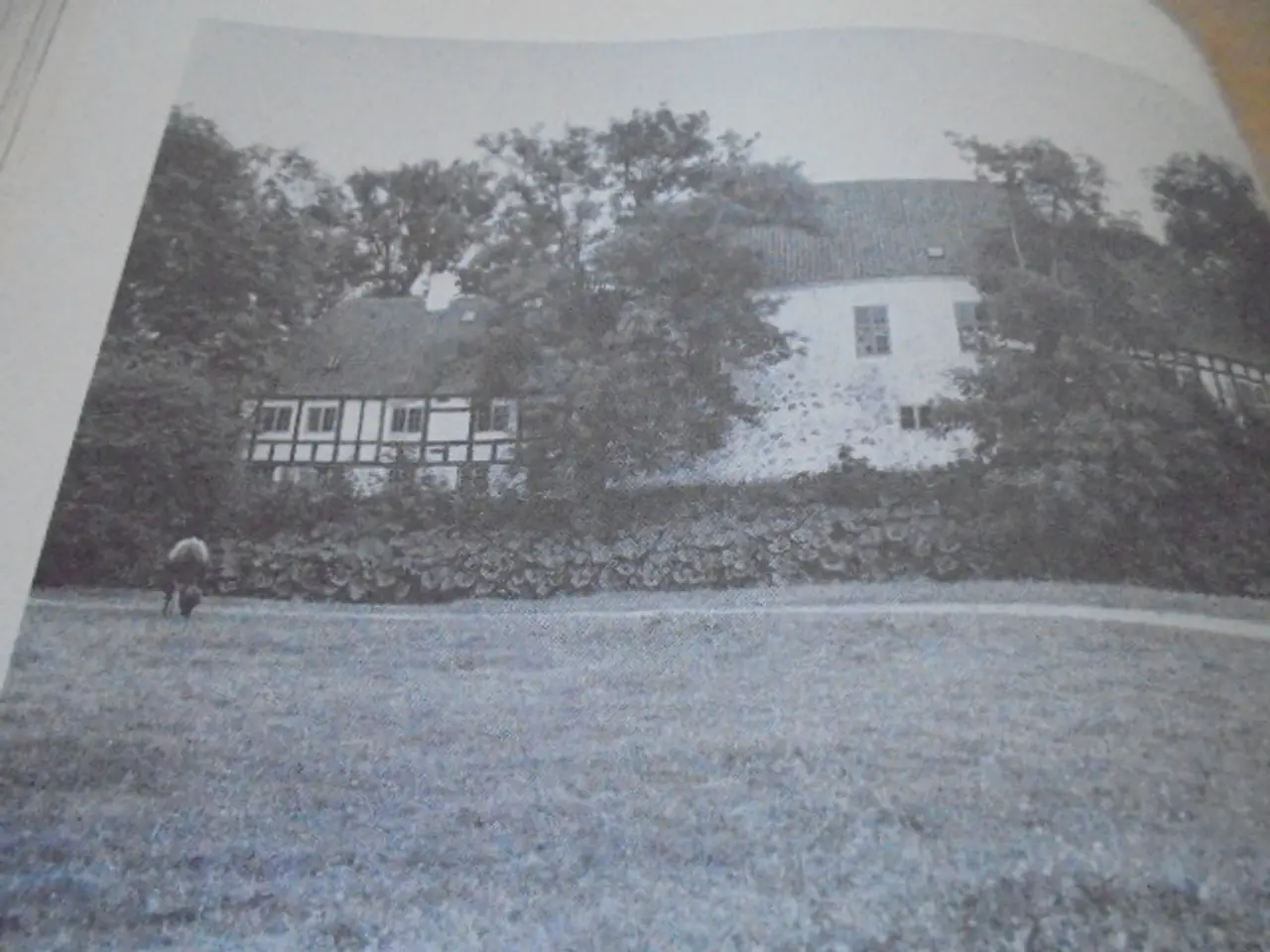 Billede 5 - Danmarks arkitektur: landbrugets huse