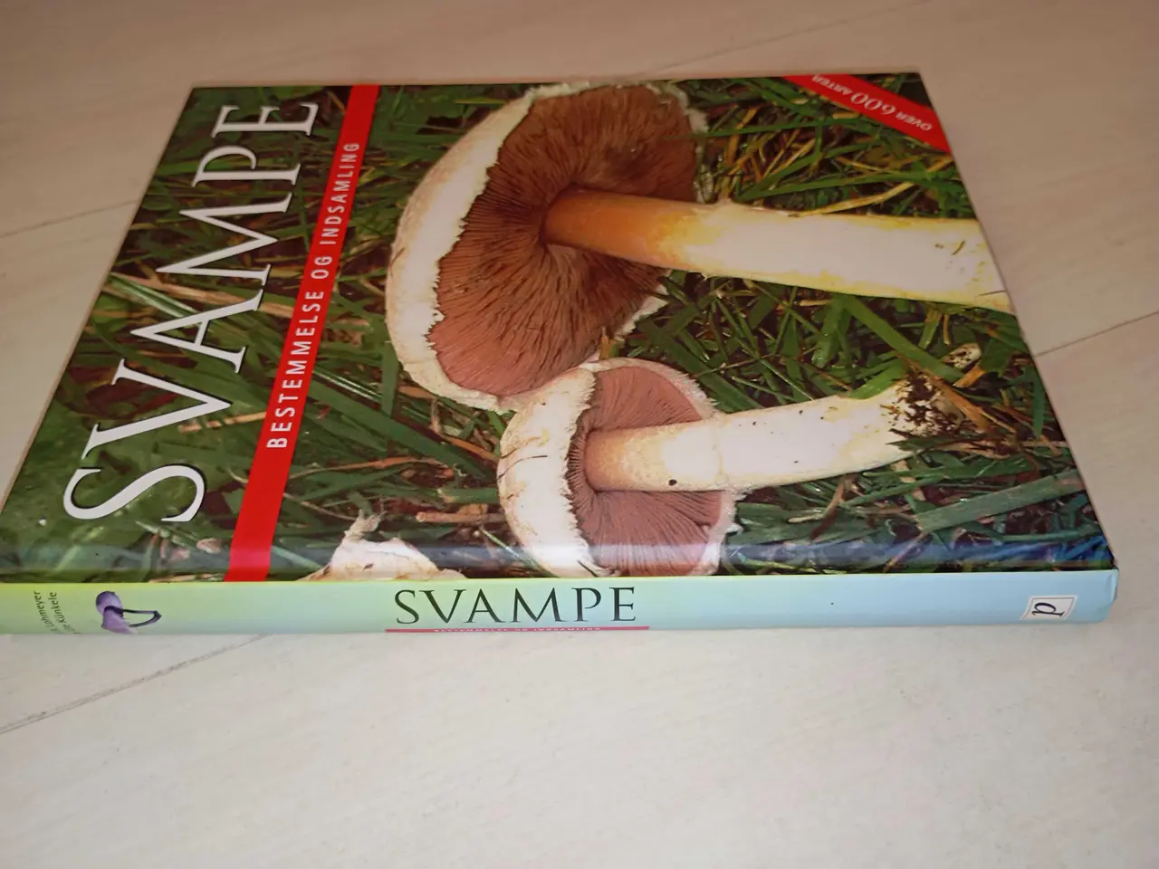 Billede 2 - Svampe - bestemmelse og indsamling 