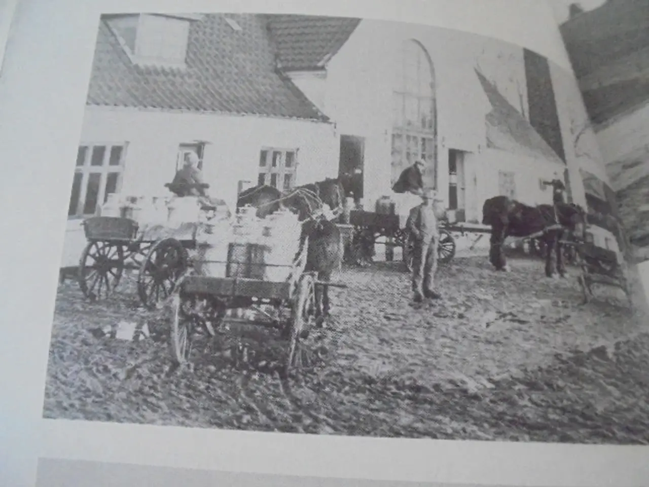 Billede 7 - Farbror Ejners billeder – Ejner Rolighed Larsen