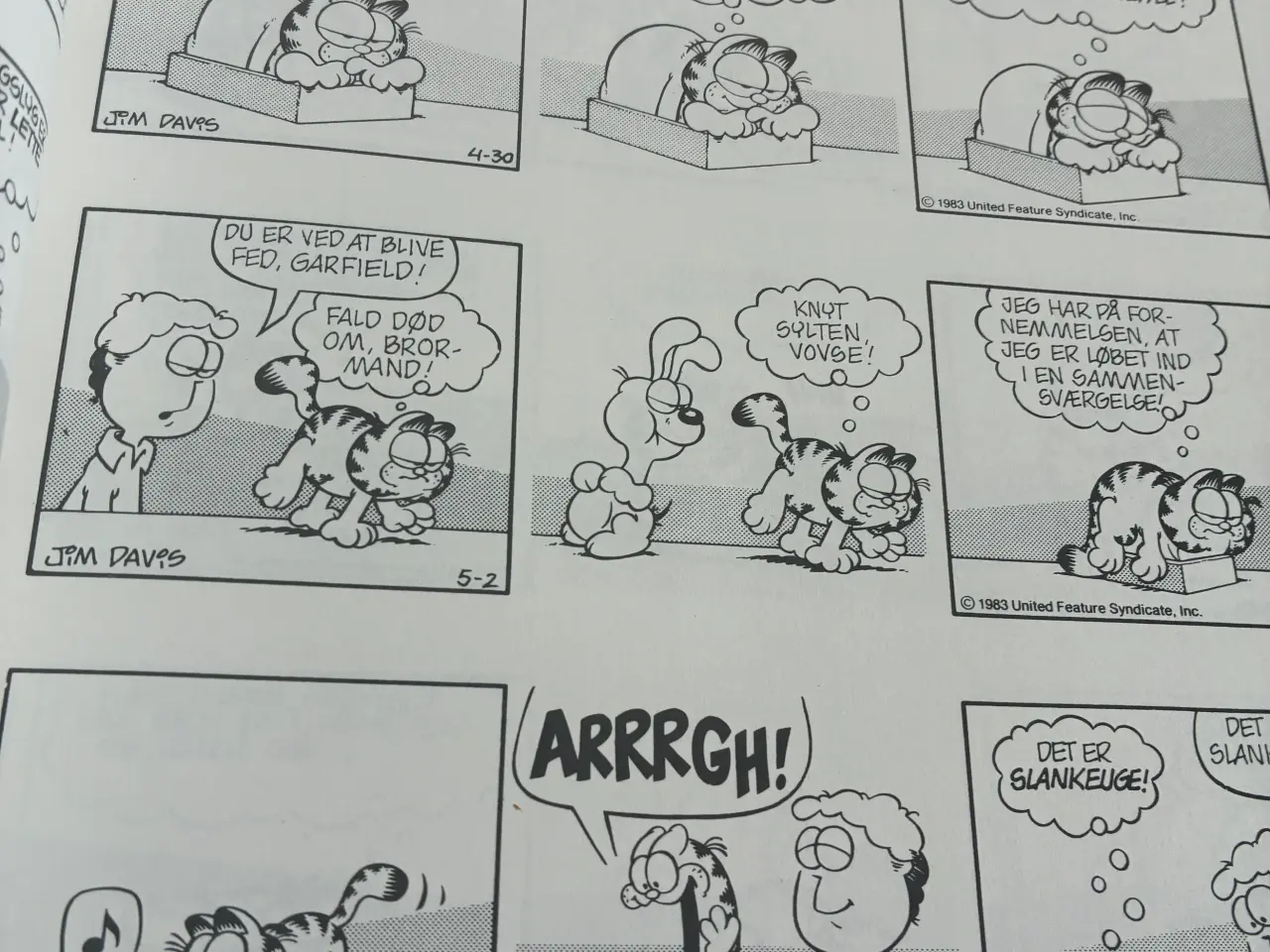 Billede 2 - Garfield gør det igen Futte