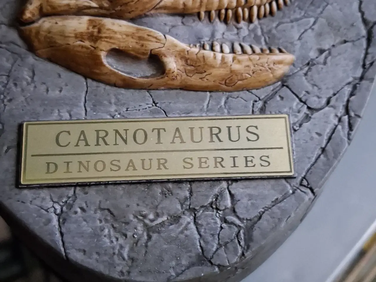 Billede 5 - Dinosaur Bust  Damtoys