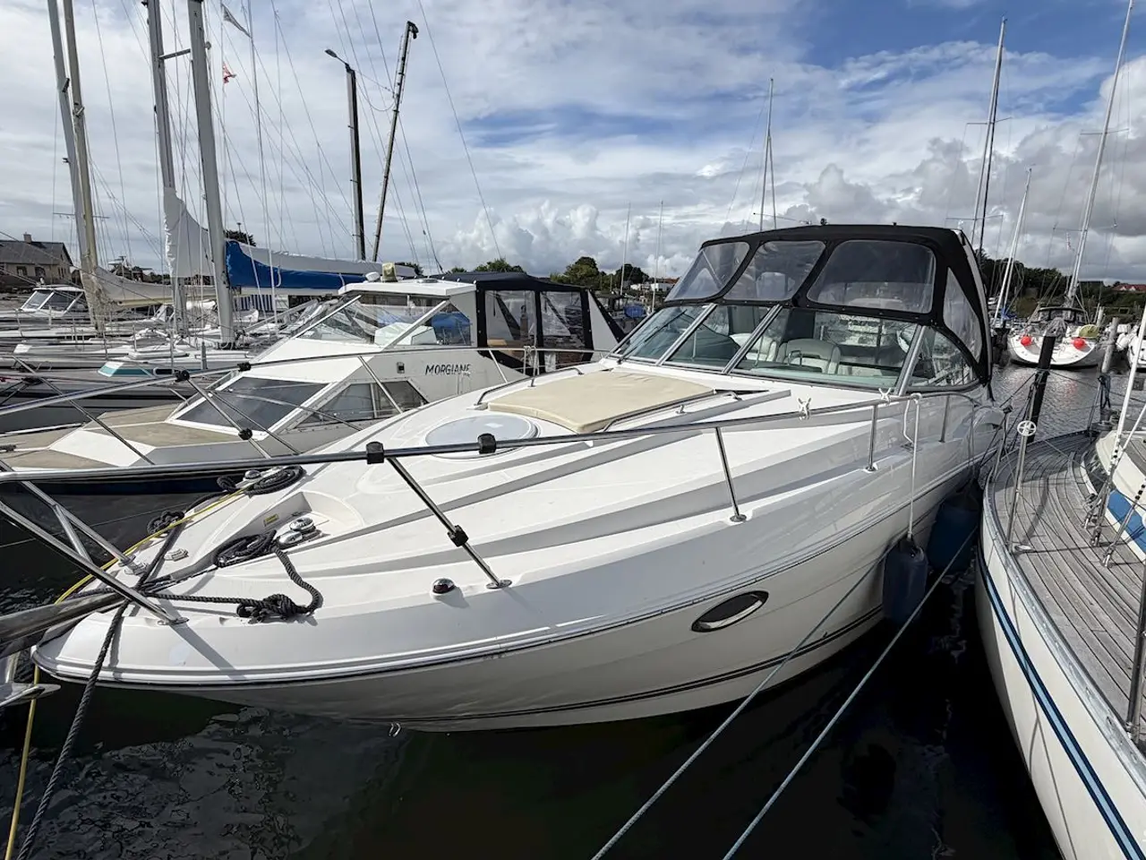 Billede 4 - Monterey 290