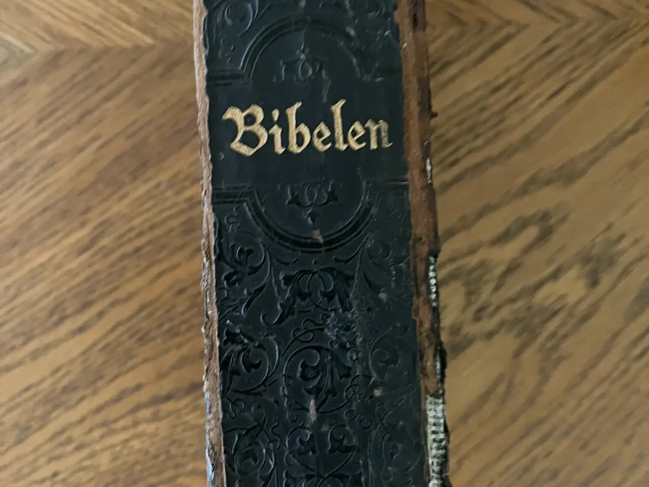 Billede 2 - Antik Bibel med flot præget ryg (gotisk skrift, ca
