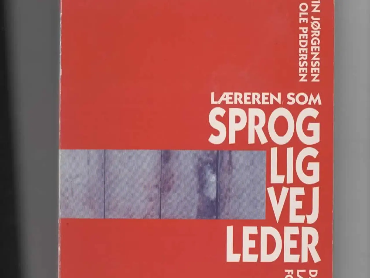 Billede 1 - dansk/sprogvejleder