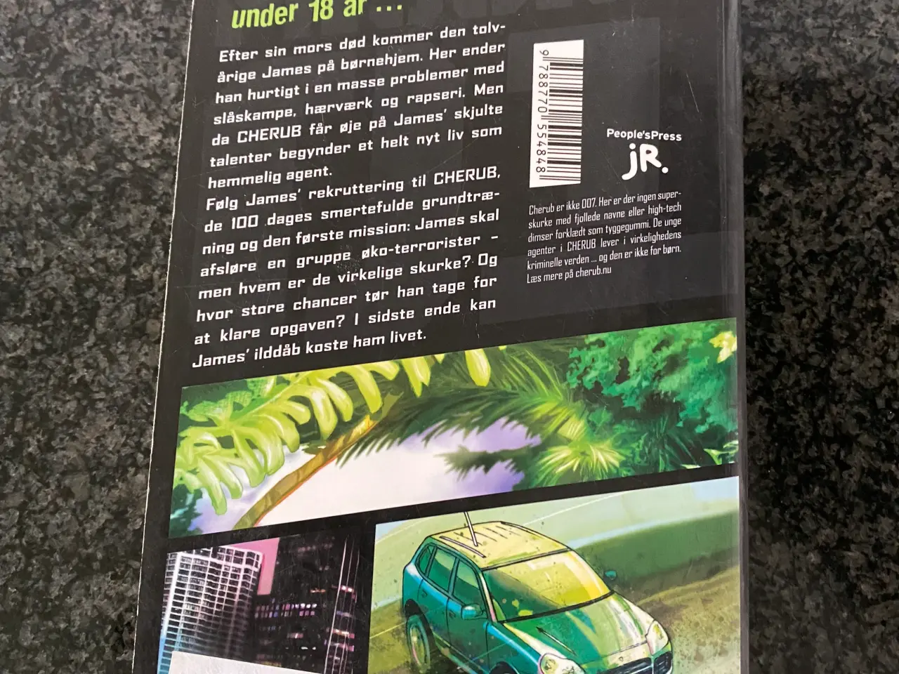 Billede 2 - Bogen Ilddåb