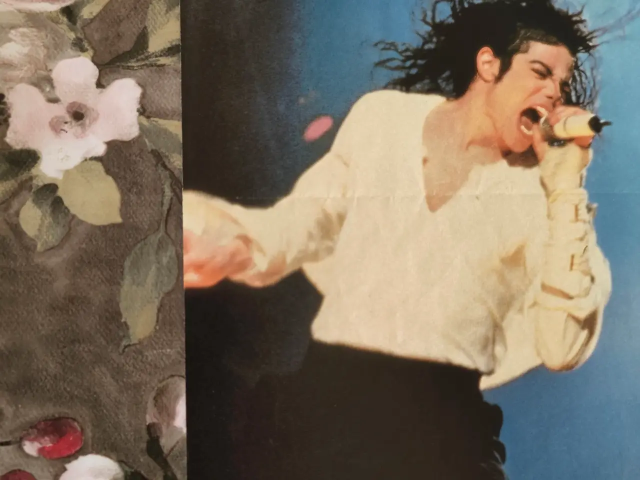Billede 3 - Plakat med Michael Jackson og Slash