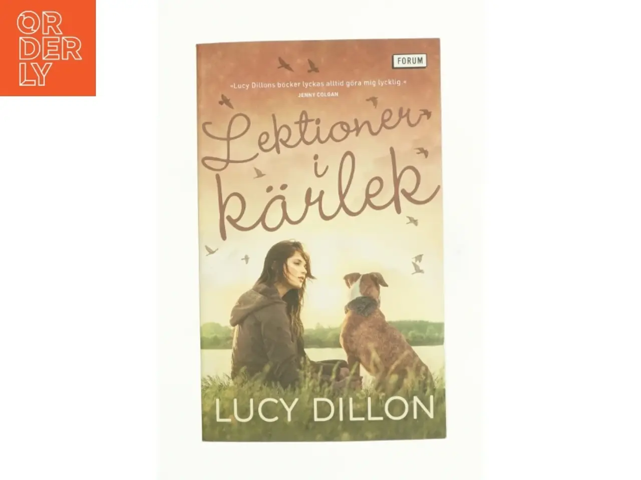 Billede 1 - Lektionen i kärlek af Lucy Dillon (bog)
