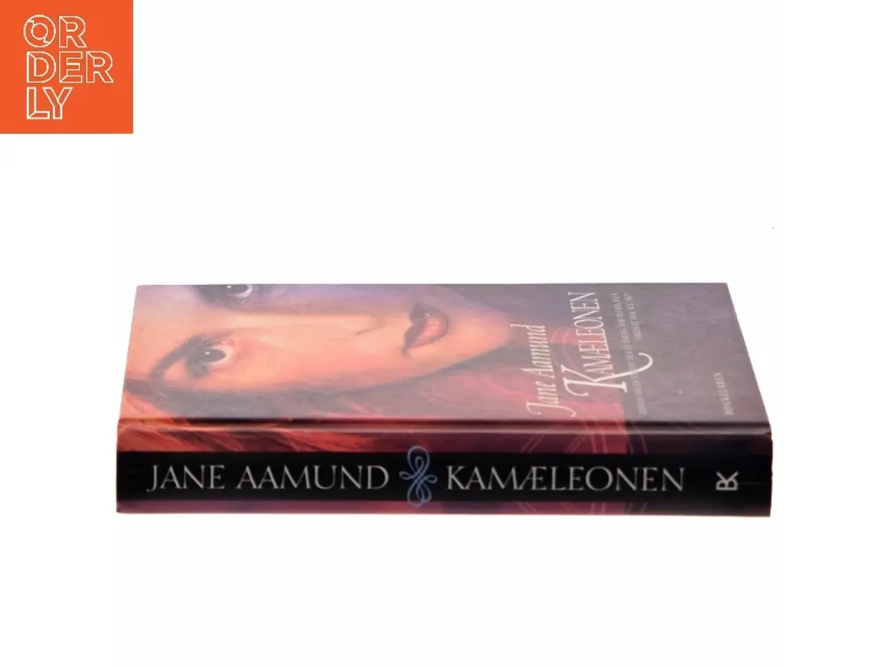 Billede 2 - Kamæleonen af Jane Aamund (Bog)