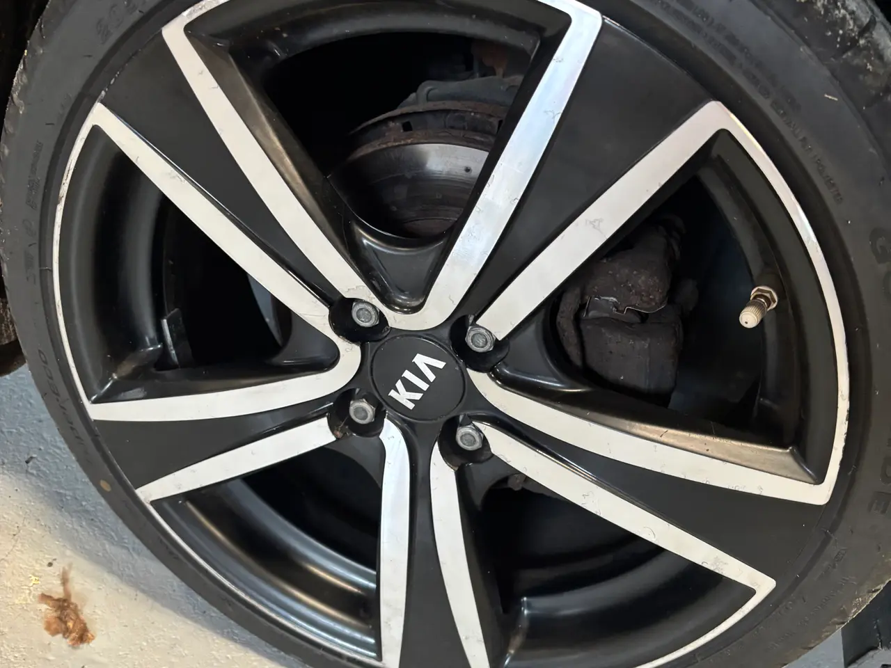 Billede 13 - KIA Rio 1.1 CRDI 2013