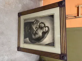Billede af Madonna
