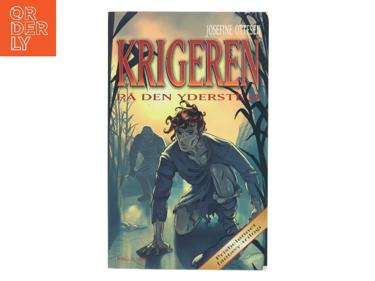 Billede 1 - Krigeren på den yderste ø af Josefine Ottesen (Bog)