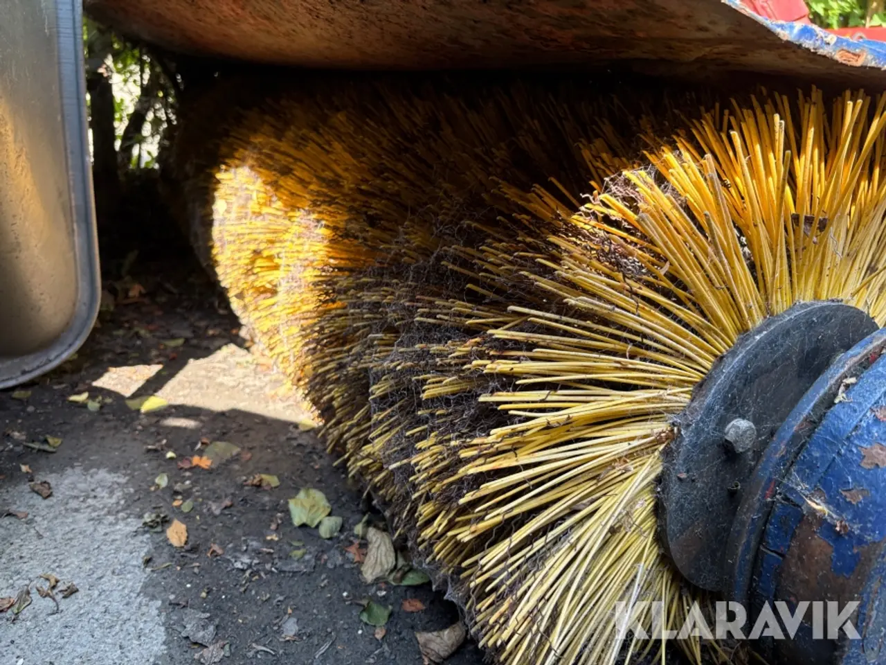 Billede 4 - Kost
