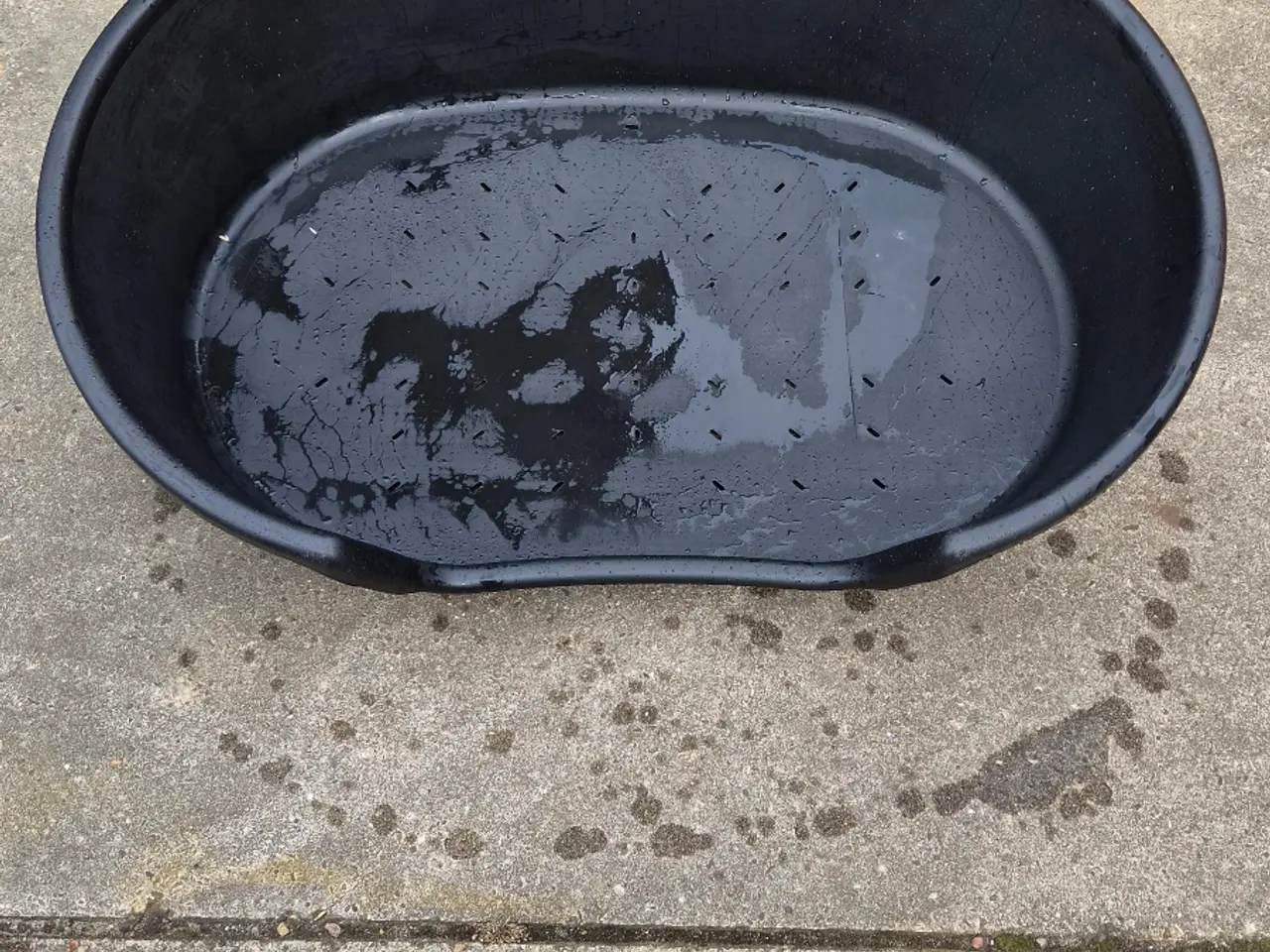 Billede 1 - Hundeseng i plast
