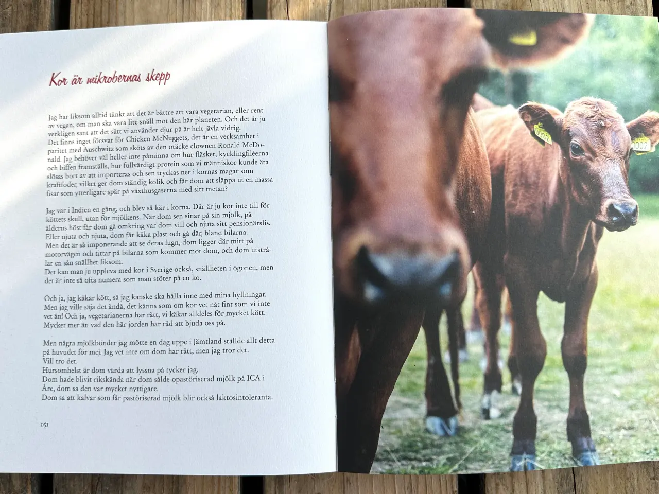 Billede 7 - Stefans Store Feta Röta – Stefan Sundström