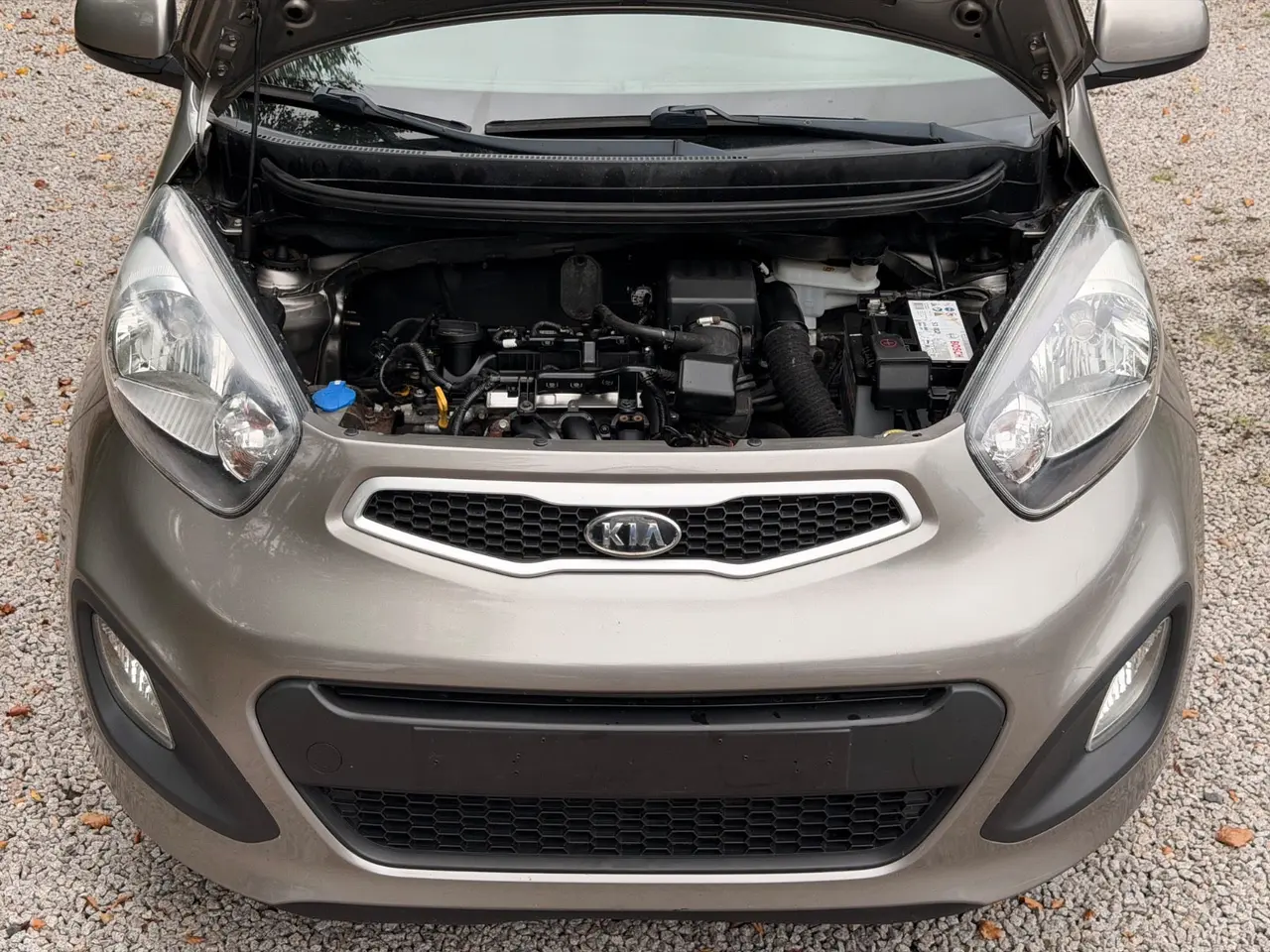 Billede 20 - Kia Picanto 1,0 Active Eco