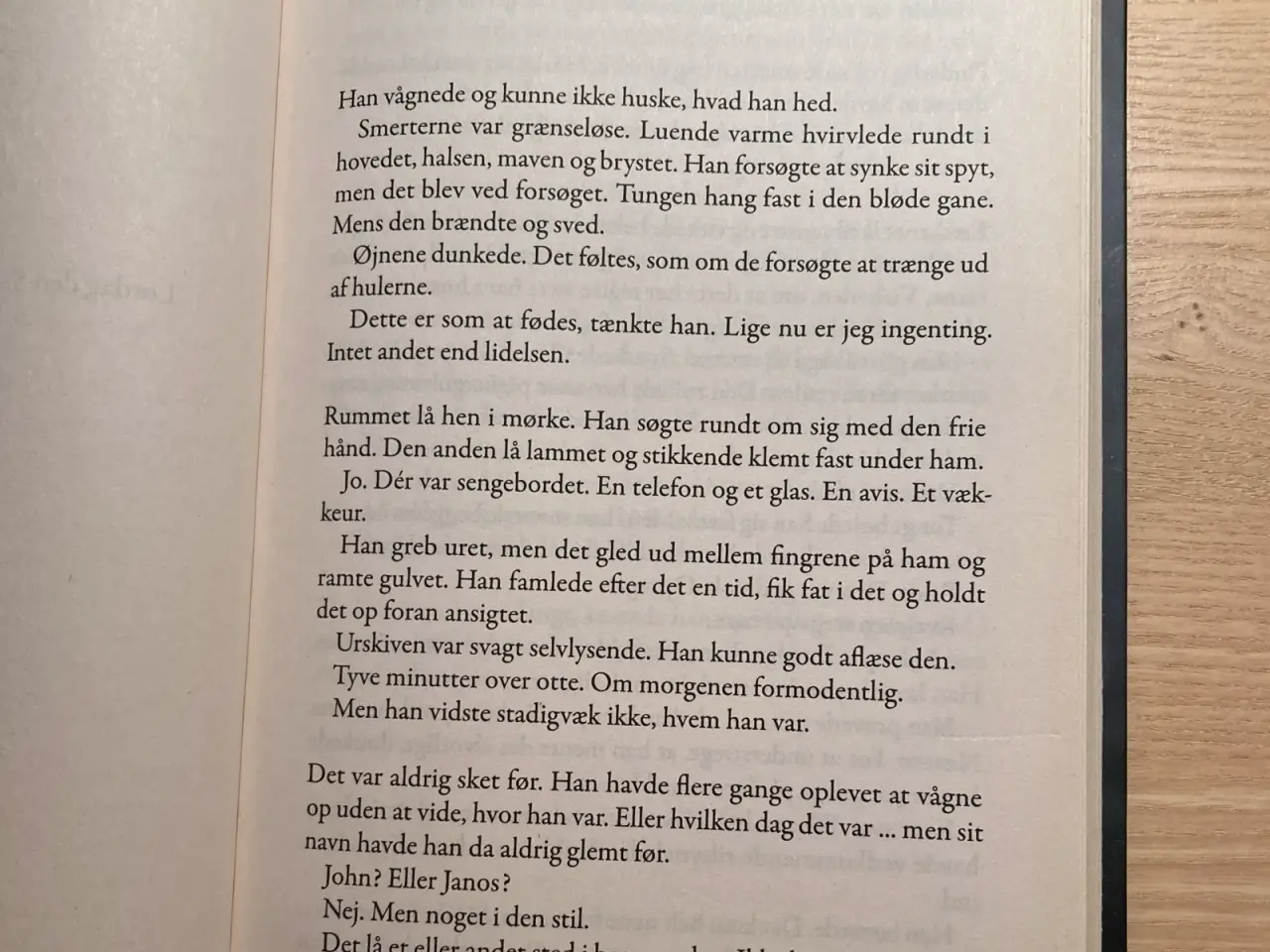 Billede 5 - Det grovmaskede net; en krimi af Håkan Nesser