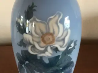 Vase dekoreret med hvid klitrose / hyben rose