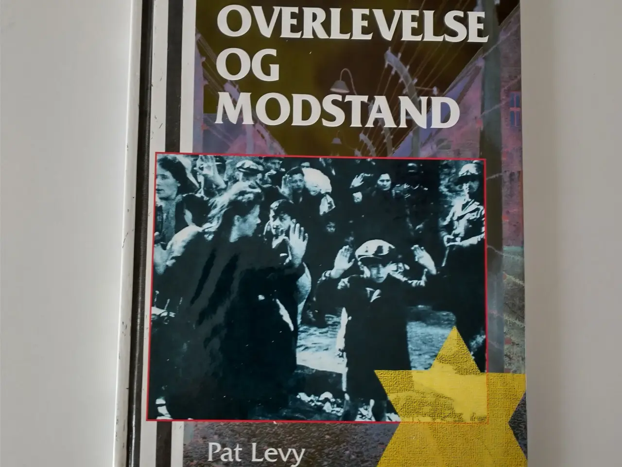 Billede 1 - Holocaust - overlevelse og modstand. Af Pat Levy