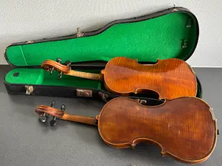 Violiner