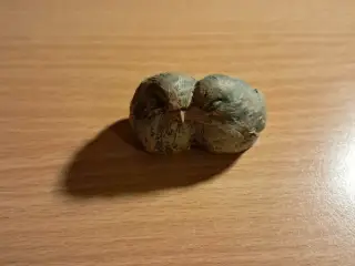 Fuglefigurer