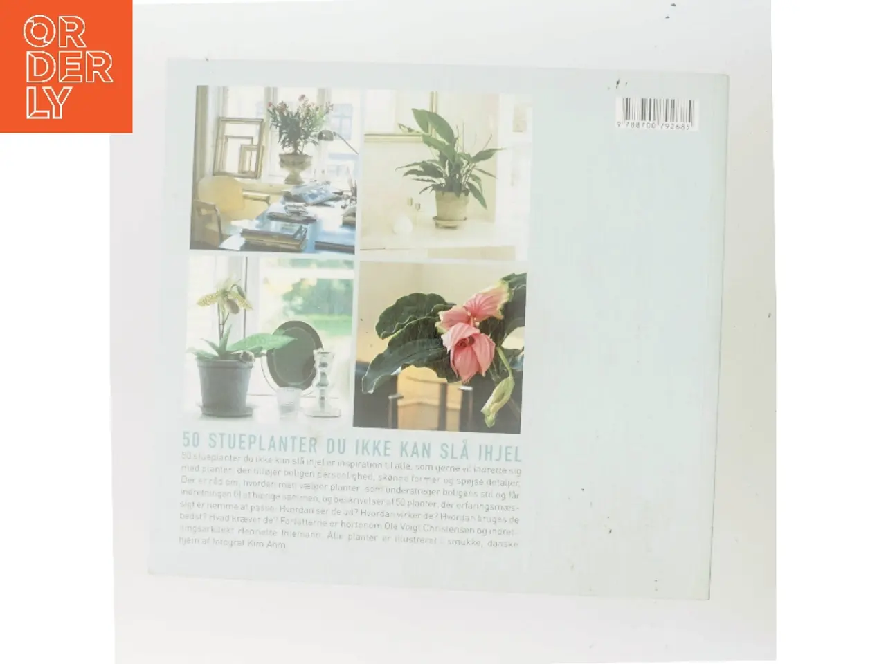 Billede 3 - 50 stueplanter du ikke kan slå ihjel (Bog)