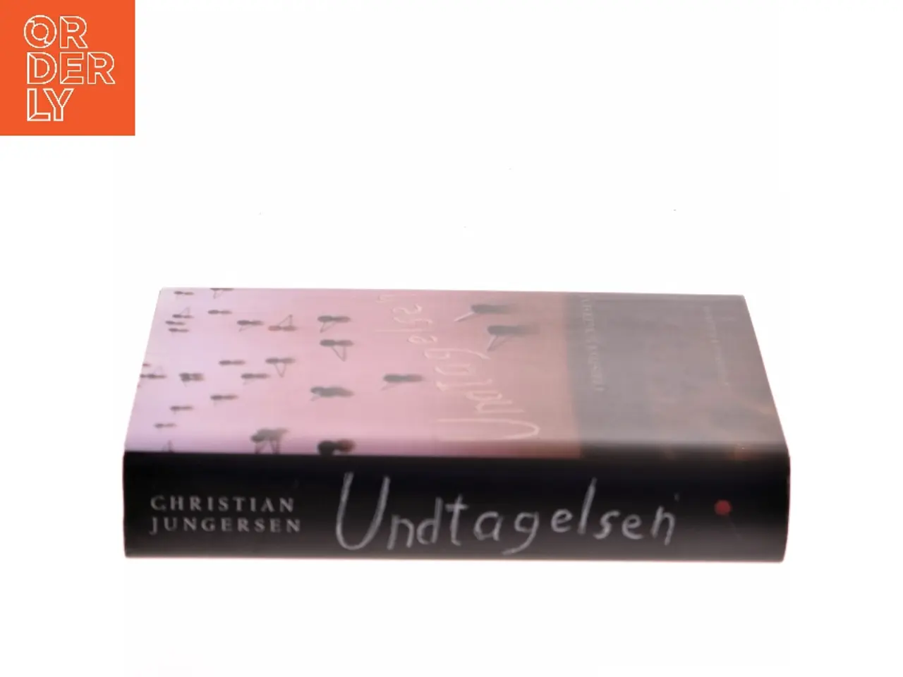 Billede 2 - Undtagelsen : roman af Christian Jungersen (Bog)