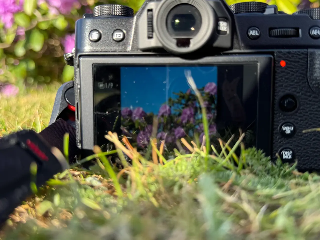 Billede 8 - Sold out. Fujifilm X-T30 II