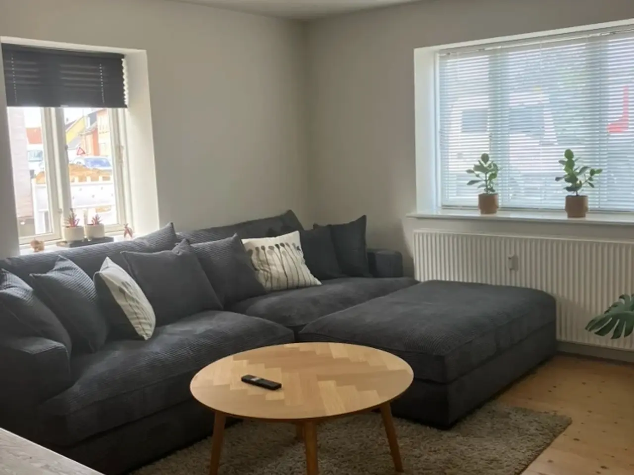 Billede 1 - Sofa i bredriflet fløjl