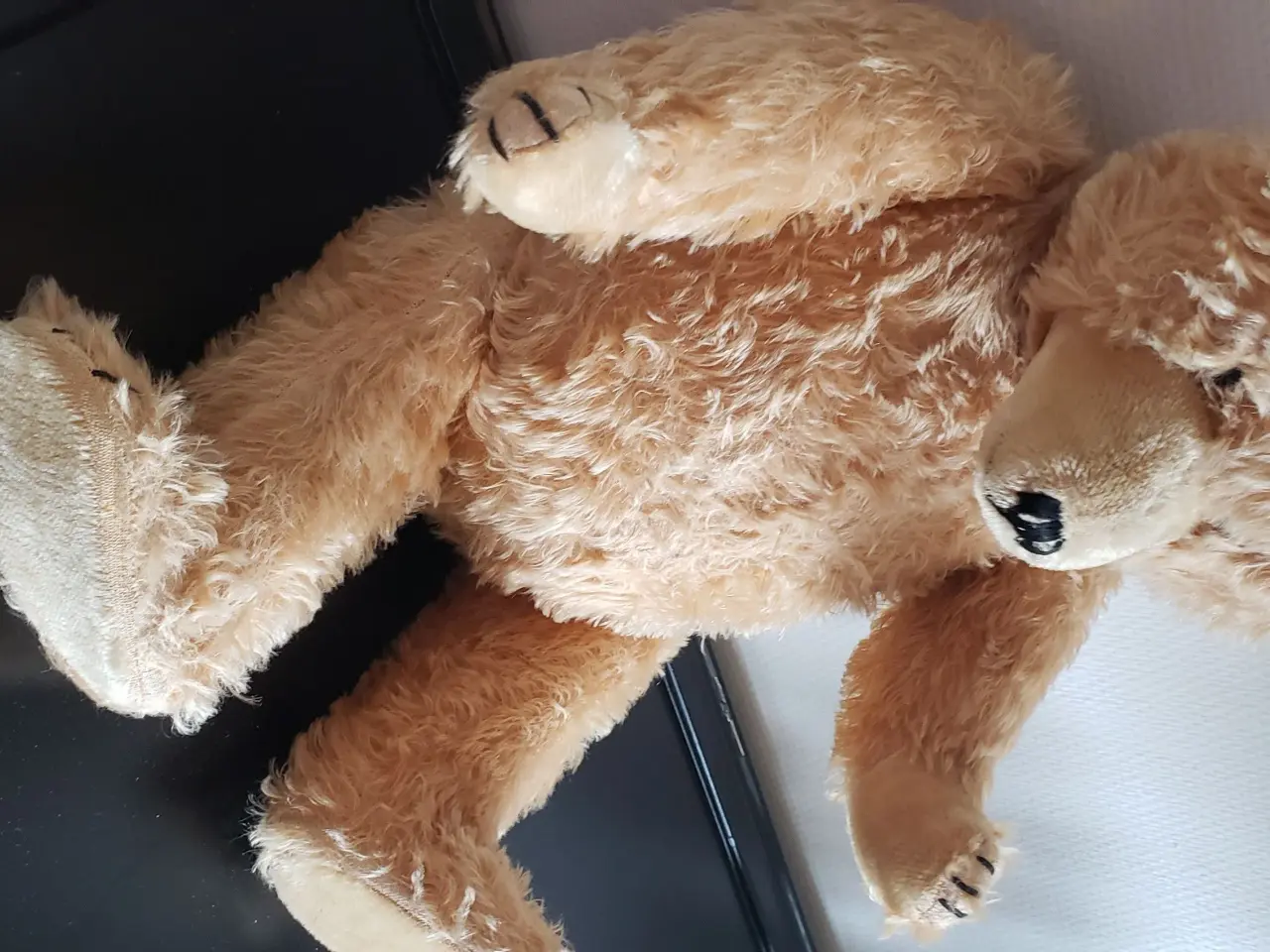 Billede 3 - Hyggelig Gammel Bamse