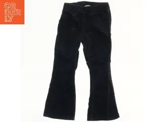Fløjlsbukser fra H&M (str. 104)