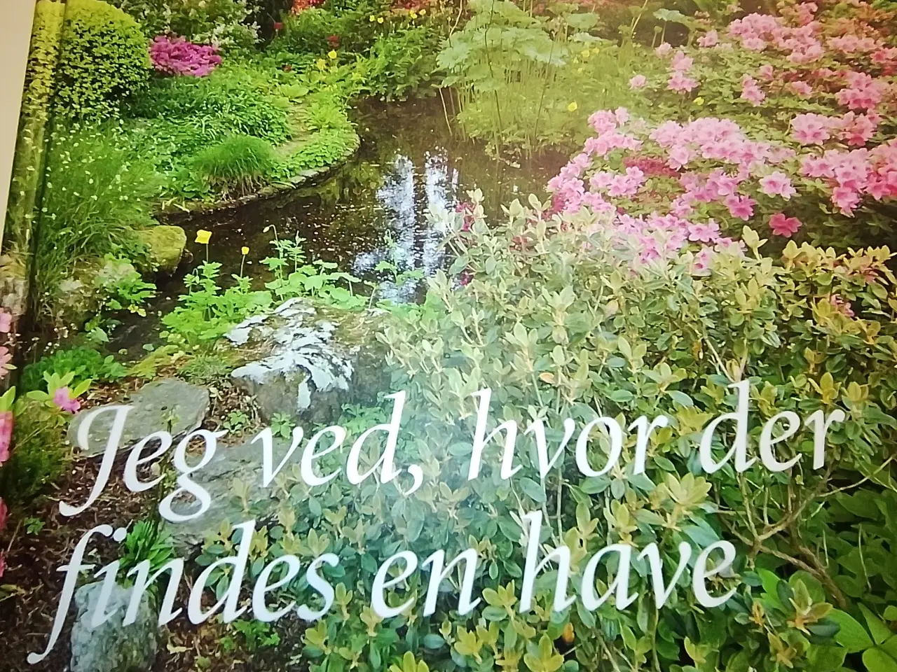 Billede 1 - Jeg ved hvor der findes en have